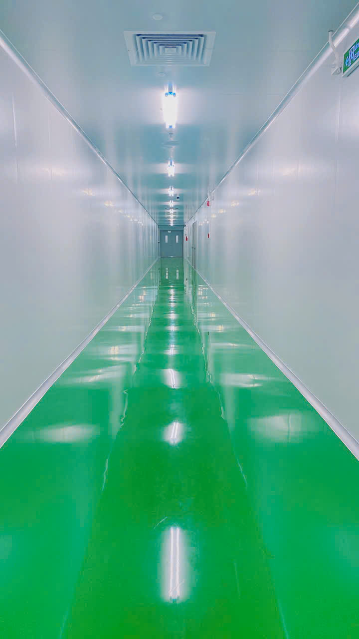 3495699432359673853.jpg